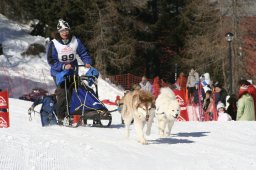 San Bernardino 2008